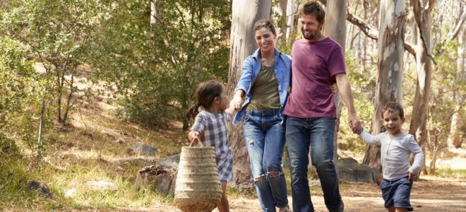 Adoption in Georgia